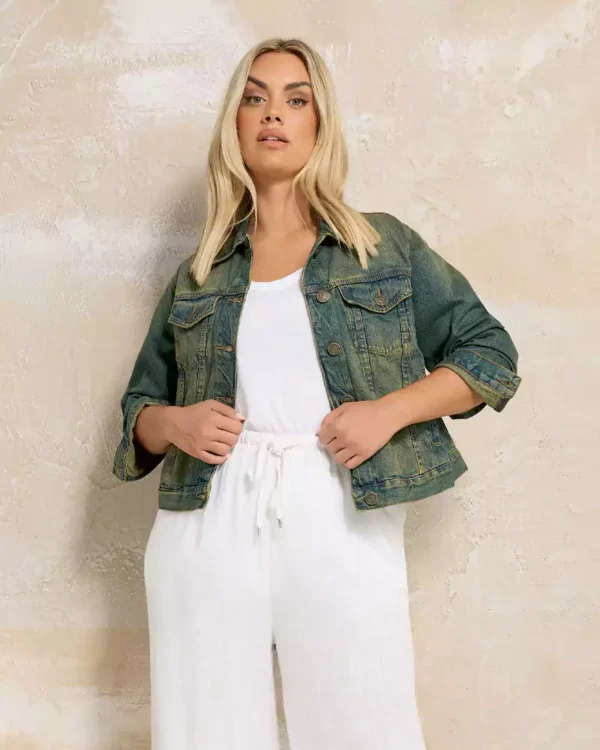 Ae strigid classic denim jacket