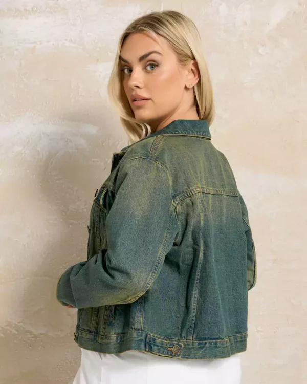 Ae strigid classic denim jacket