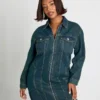 Plus denim dresses