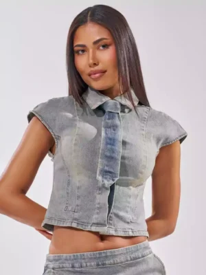 Frame denim blouse