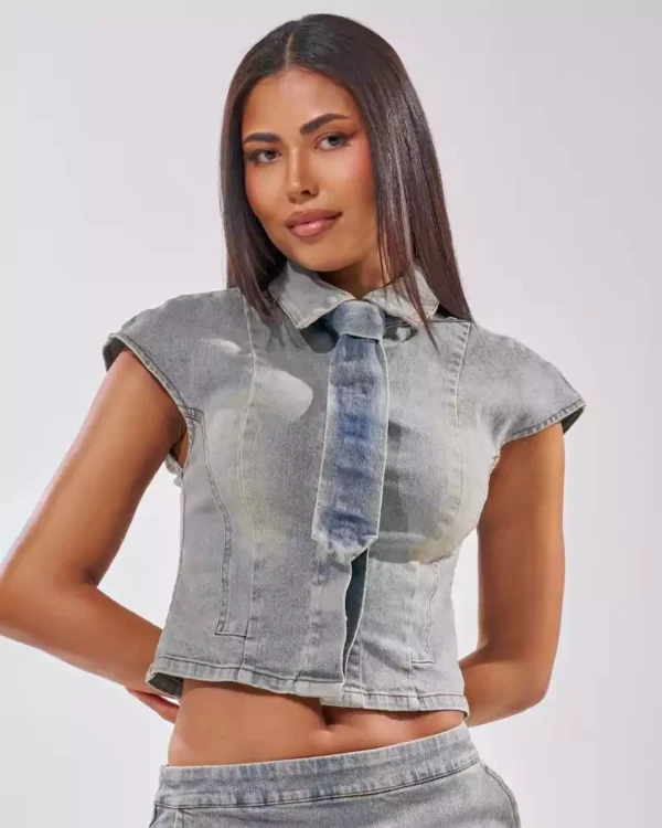 Frame denim blouse